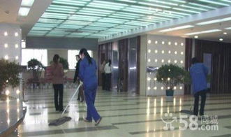 綿陽專業(yè)外墻清洗與家居裝飾服務(wù) 打造潔凈與溫馨的居住與商業(yè)環(huán)境